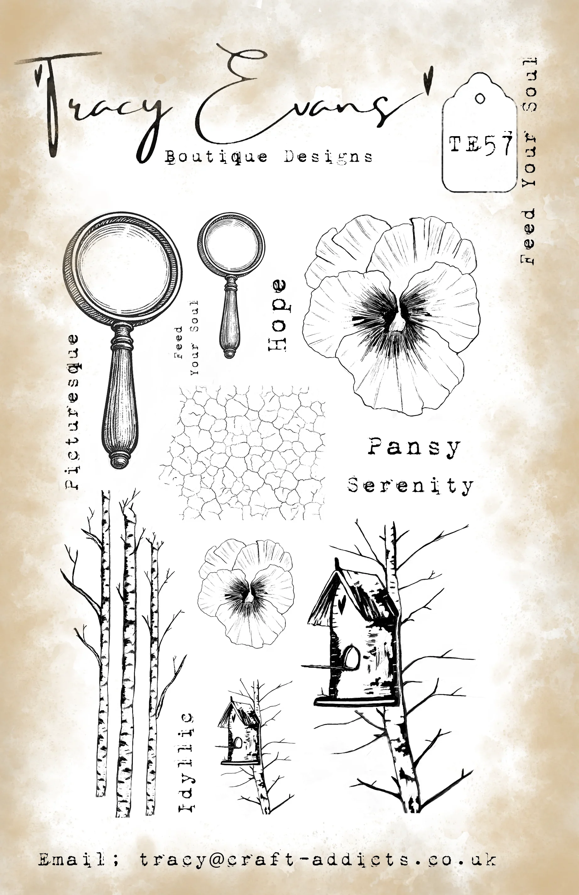 Die Schönheit einer Blume Meta – Candle Making Guide Bewertung und Preis